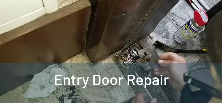 Entry Door Repair